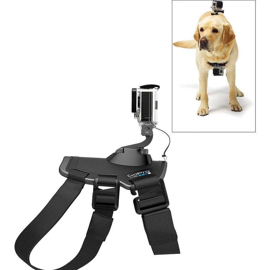 Hot GoPro Gopro Fetch (Dog Harness)