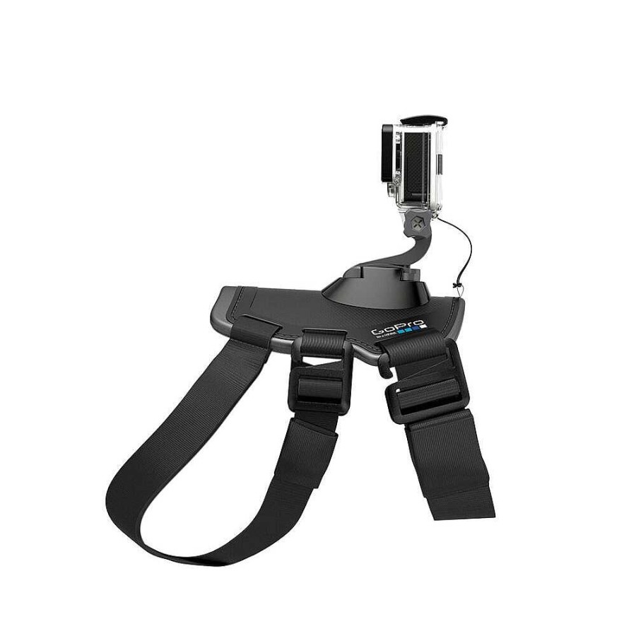 Hot GoPro Gopro Fetch (Dog Harness)